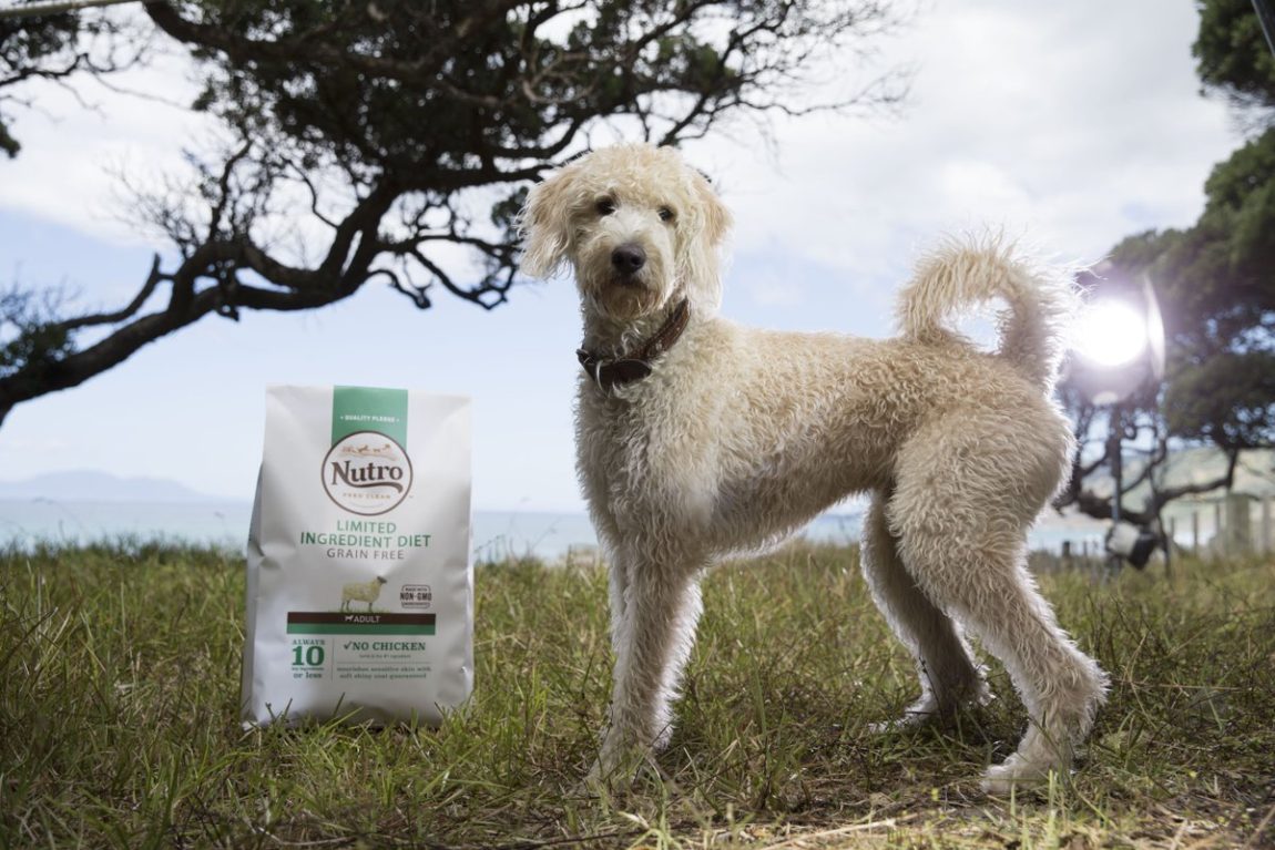 Un câine de talie medie cu blană bej stând pe iarbă lângă o pungă de hrană uscată Nutro Limited Ingredient Diet, într-un peisaj natural.