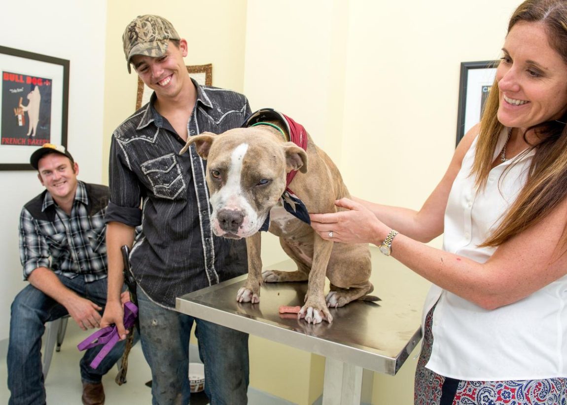 Corona, femela Pitbull salvată dintr-un puț de mină de către niște curajoși iubitori de off-road