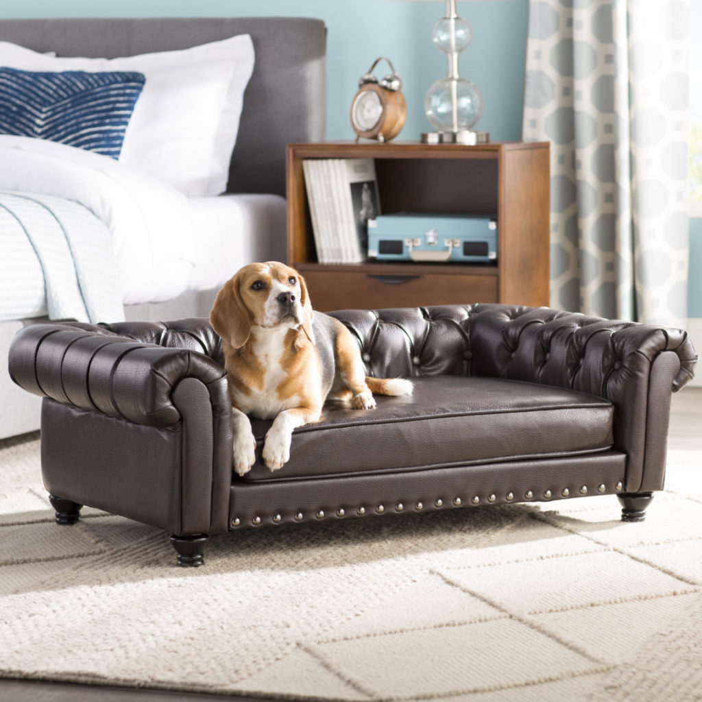 Un câine Beagle stând relaxat pe o canapea miniaturală de lux din piele maro, așezată într-un dormitor modern.