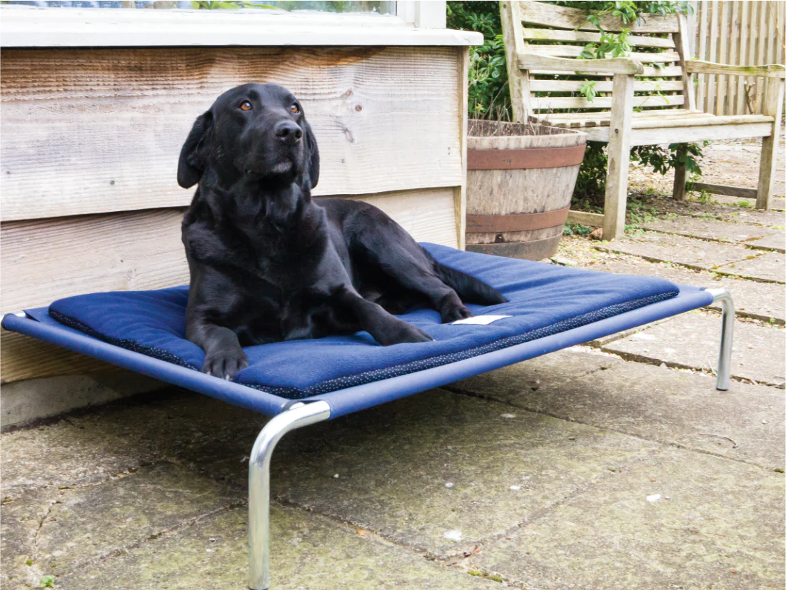 Câine Labrador negru relaxându-se pe un pat suspendat albastru cu cadru metalic, amplasat pe o terasă exterioară