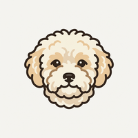 Bichon Havanez