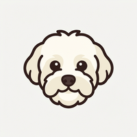 Bichon Maltez