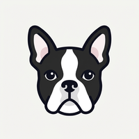 Terrier de Boston
