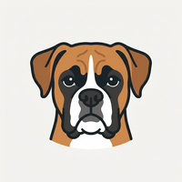 Boxer
