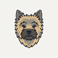 Cairn Terrier