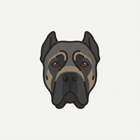 Cane Corso