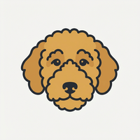 Goldendoodle