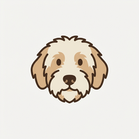 Labradoodle