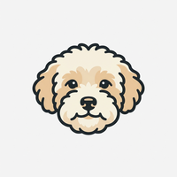 Maltipoo