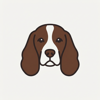 Springer Spaniel Englez